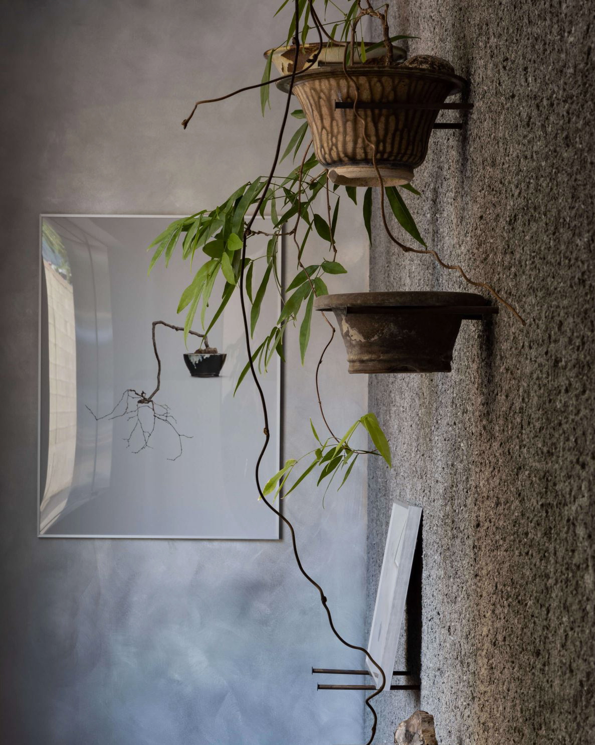 002. Taste of plant - Thumbnail